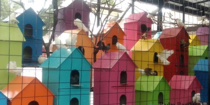Berbagi Kebahagiaan di Tempat Wisata yang Satu Ini