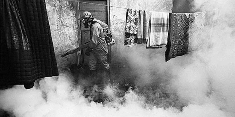 Ingin Melakukan Fogging? Simak Syarat-syaratnya