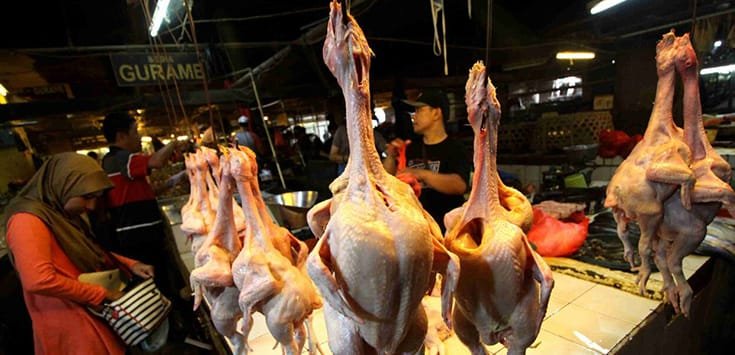 Penimbun Pangan Siap-siap Dipidana