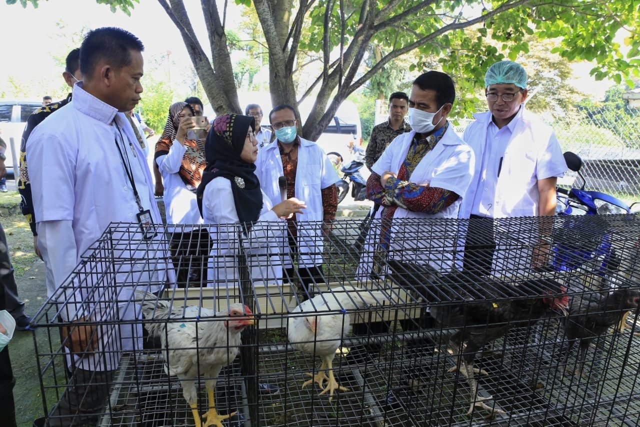 Mentan Amran Bertekad Wujudkan Kemandirian Pakan