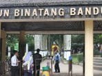 Cegah Corona, Kebun Binatang Bandung Mulai Sabtu Besok Ditutup