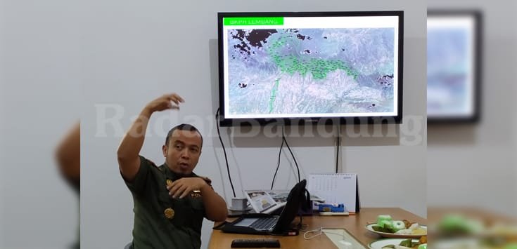 Perhutani Bidik Rp 9,5 Miliar Per tahun