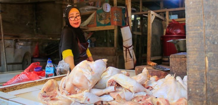 Peternak Ayam Pedaging Di KBB Berhenti