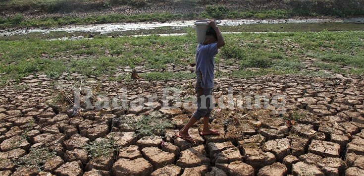 2023 Diprediksi Terjadi Kemarau Panjang, Waspada Kekeringan