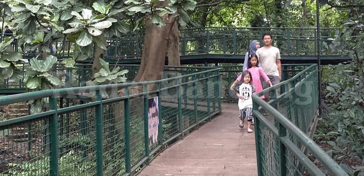 Anggaran Dipangkas 50%, Pembuatan Taman RW di Kota Bandung Ditiadakan