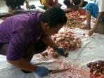 Tak Perlu Khawatir Pada Cacing Hati