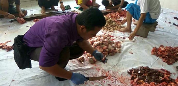 Tak Perlu Khawatir Pada Cacing Hati