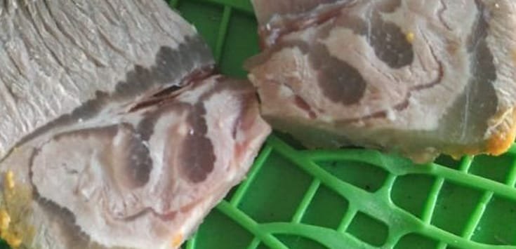 Ada Lafaz Allah di Daging Kurban