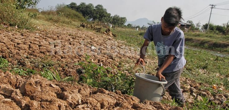 Kekeringan Meluas ke Tujuh Daerah