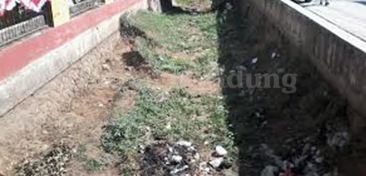 Puluhan Hektare Lahan Pertanian Kekeringan