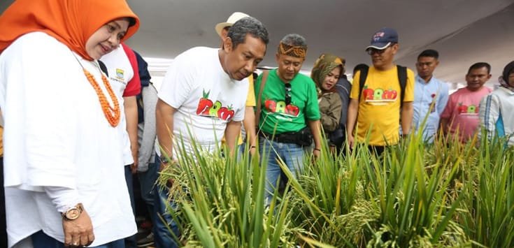 2.000 Bibit Tanaman Ludes Diserbu Warga