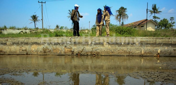 Kemarau, Pembenihan Ikan Semakin Menurun