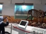 tempat wisata di Bandung musem geologi