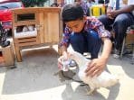 Dispangtan Dorong Siswa Buat Pakan Murah