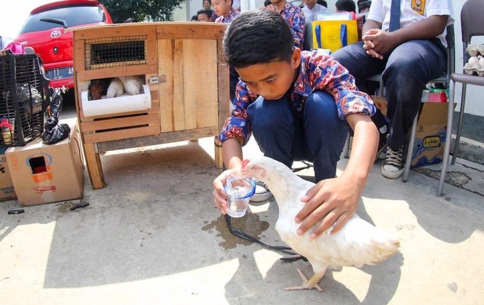 Dispangtan Dorong Siswa Buat Pakan Murah