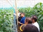 Bupati Umbara Dorong Generasi Millenial KBB Jadi Petani