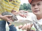 Ribuan Ikan Mati Akibat Limbah