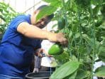 Kembangkan Potensi Ekonomi Sektor Pertanian