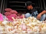 Harga Eceran Bawang Putih Masih Mahal