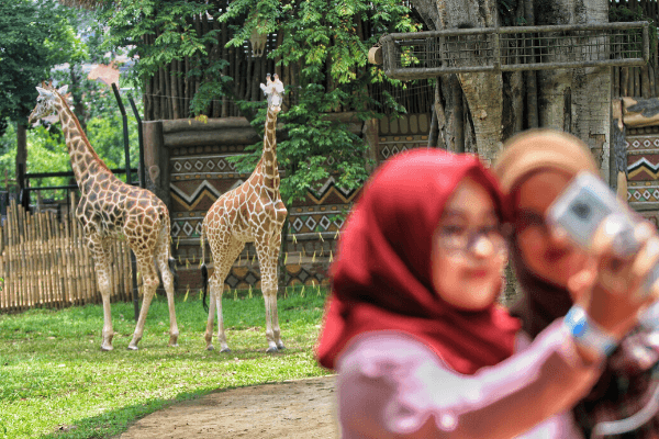 Bandung Zoo