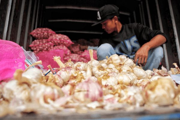Harga Bawang Putih di Bandung Berangsur Normal