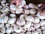 Kebijakan Tak Pasti Berimbas Pada Percepatan Impor Bawang