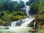 2.000 Santri Persis Tanam Pohon di Rancaupas