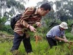 Wortel Kuroda Asal Jepang Jadi Andalan Produk Pertanian Kabupaten Bandung