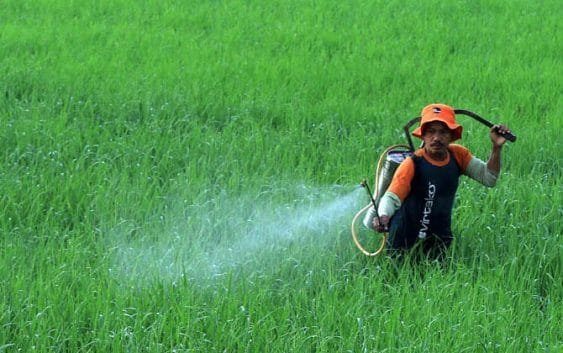 Pergub Disebut Jadi Salah Satu Penghambat Distribusi Pupuk