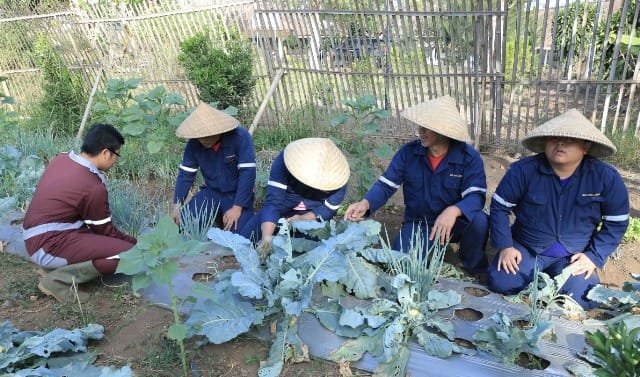 Kampung Walagri, Fasilitas Pelayanan Bagi Penderita Gangguan Jiwa