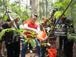 Ridwan Kamil Ikut Tanam 220.022 Bibit Pohon di Gerakan Leuweung Padjadjaran