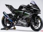 Kawasaki Ninja ZX-25R 4 Silinder Diracik Khusus buat Pacuan