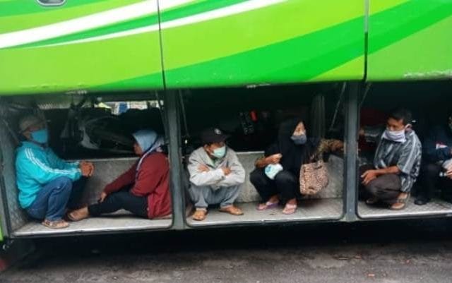 Viral Pemudik Rela Bayar Rp 450 Ribu untuk Sembunyi di Bagasi Bus, Ini Faktanya