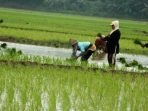 Petani Kabupaten Bandung Harus Melek Teknologi!