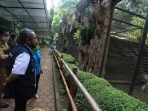 Bandung Zoo dan Taman Lalu Lintas Belum Siap Beroperasi