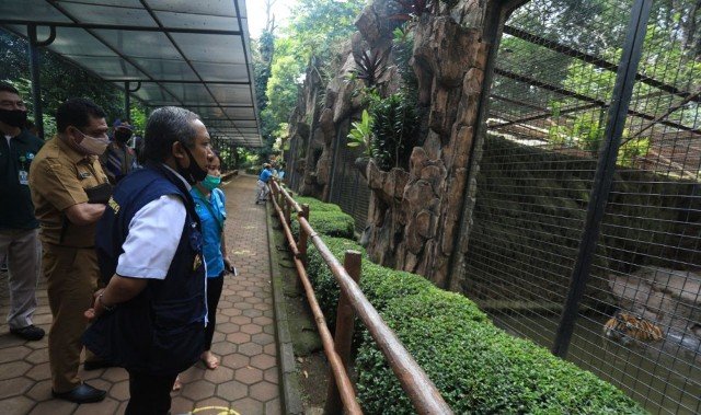 Bandung Zoo dan Taman Lalu Lintas Belum Siap Beroperasi