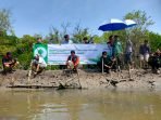Cegah Abrasi, Ribuan Mangrove Ditanam di Pesisir Pantai Desa Mayangan Subang