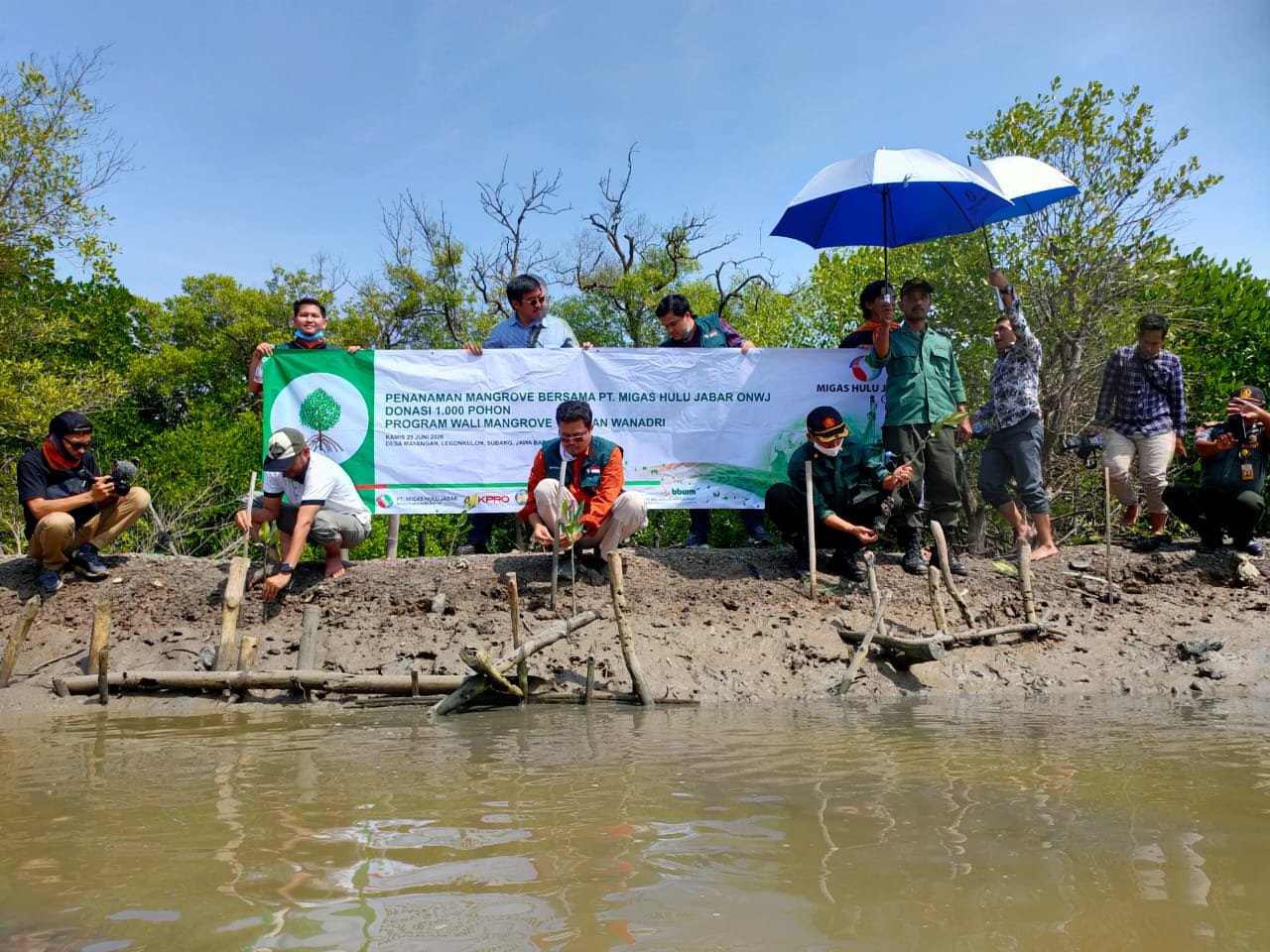 Cegah Abrasi, Ribuan Mangrove Ditanam di Pesisir Pantai Desa Mayangan Subang