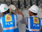 Dukung Pemerintah Pulihkan Ekonomi, PLN Siap Jalankan Stimulus Covid-19 untuk Pelanggan