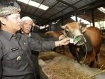 Pemkab Bandung Gratiskan Retribusi Pemotongan Hewan Kurban di RPH