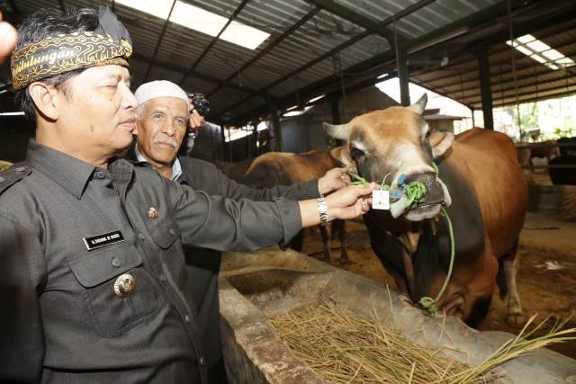 Pemkab Bandung Gratiskan Retribusi Pemotongan Hewan Kurban di RPH