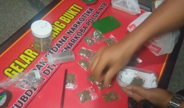 Parah! Satu Fakultas di Kampus Ternama Jadi Sarang Peredaran Ganja