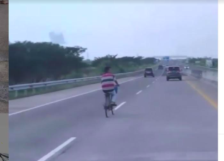 Santuy! Pria Ini Gowes Sepeda di Tengah Tol Cipali