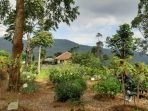Liburan di Lembang, Jangan Lupa Mampir ke Taman Herbal Mulberry Hill