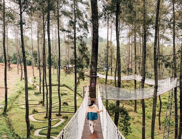 Image Tempat Wisata Orchid Forest Cikole Lembang