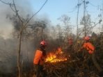 Musim Kemarau Rentan Kebakaran Kahutla, Damkar KBB Ingatkan Ini!