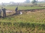 Hadapi Kemarau, Dinas Pertanian Kabupaten Bandung Siapkan Pompa Air