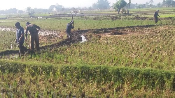 Hadapi Kemarau, Dinas Pertanian Kabupaten Bandung Siapkan Pompa Air
