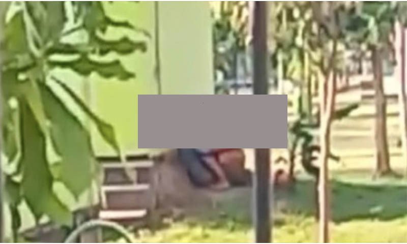 Siang Bolong, Pasangan Saling Tindih Mesra di Taman, Videonya Telanjur Tersebar