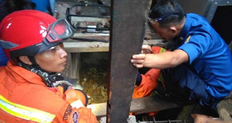 Selain Bencana, DiskarPB Bandung Tangani Hewan Liar Masuk Rumah
